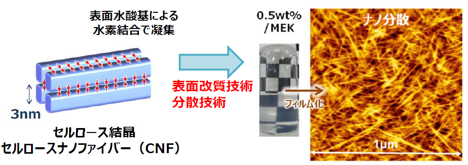 表面改質技術分散技術　表面水酸基による水素結合で凝集　セルロース結晶セルロースナノフィーバー（CNF）