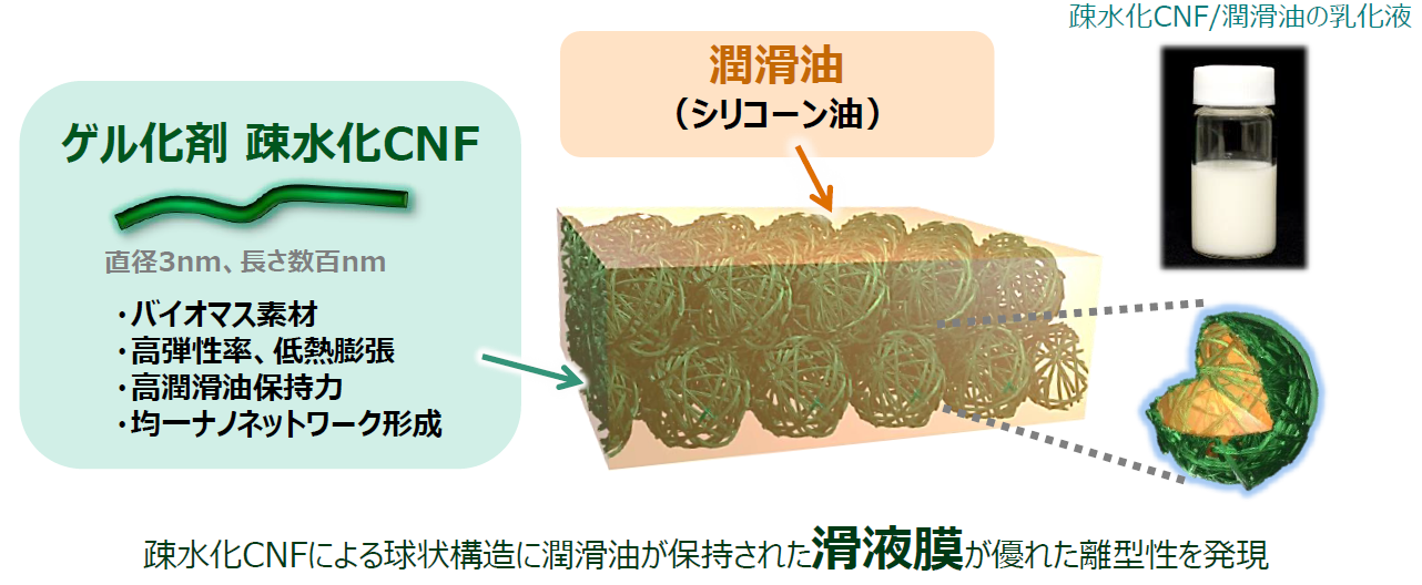 疎水化CNFによる球状構造に潤滑油が保持された滑液膜が優れた離型性を発現